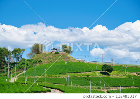 An observation deck overlooking the beautiful tea fields An observation deck overlooking the beautiful tea fields 118493317