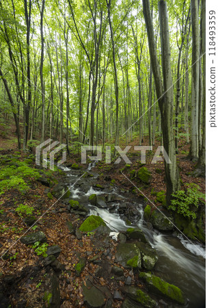 Starohutiansky waterfall near Nova Bana and Zarnovica, Pohronsky Inovec mountains, Slovakia 118493359