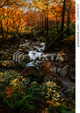 A beautiful natural landscape throughout the four seasons, with autumn leaves and clear skies. Environmental Art Forest (Karatsu City, Saga Prefecture) A beautiful natural landscape throughout the four seasons, with autumn leaves and clear skies. Environmental Art Forest (Karatsu City, Saga Prefecture) 118493415