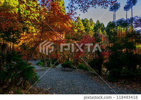 A beautiful natural landscape throughout the four seasons, with autumn leaves and clear skies. Environmental Art Forest (Karatsu City, Saga Prefecture) A beautiful natural landscape throughout the four seasons, with autumn leaves and clear skies. Environmental Art Forest (Karatsu City, Saga Prefecture) 118493418