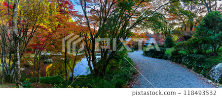 The autumn foliage can be seen from a promenade that reflects the beautiful natural scenery throughout the year: Environmental Art Forest (Karatsu City, Saga Prefecture) 118493532