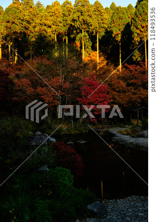 在四季壯麗的自然風光中閃閃發光的散步道上可欣賞到的紅葉風景-環境藝術之森(佐賀縣唐津市) 在四季壯麗的自然風光中閃閃發光的散步道上可欣賞到的紅葉風景-環境藝術之森(佐賀縣唐津市) 118493536