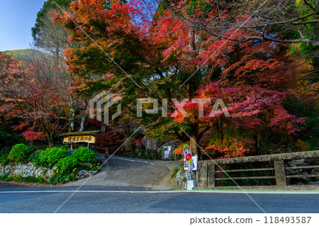 四季閃耀的自然風景中的紅葉散步道-環境藝術之森(佐賀縣唐津市) 四季閃耀的自然風景中的紅葉散步道-環境藝術之森(佐賀縣唐津市) 118493587