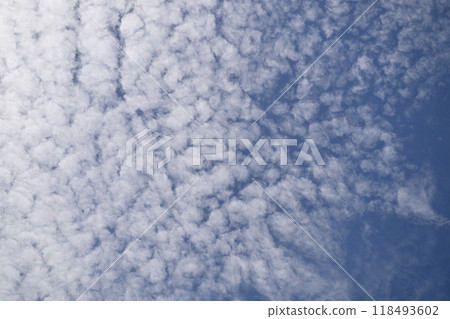 Autumn Sheep Clouds 118493602
