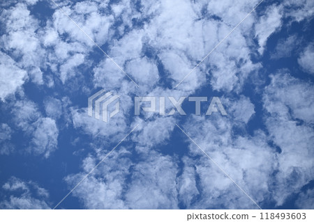 Autumn Sheep Clouds 118493603