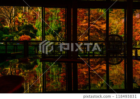 A fantastic reflection of autumn leaves that shines in the autumn season (lacquered table) Environmental Art Forest (Karatsu City, Saga Prefecture) 118493831
