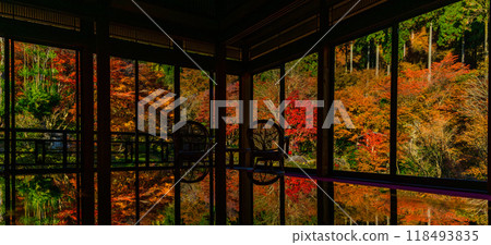 A fantastic reflection of autumn leaves that shines in the autumn season (lacquered table) Environmental Art Forest (Karatsu City, Saga Prefecture) 118493835
