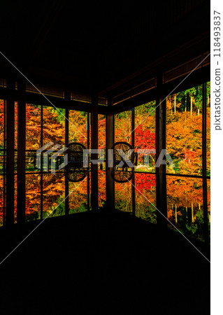 秋季閃耀的夢幻紅葉倒影（漆桌） 環境藝術森林（佐賀縣唐津市） 118493837