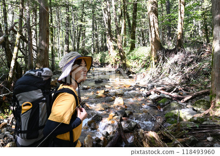 Mountain girl walking through the forest Mountain girl walking through the forest 118493960