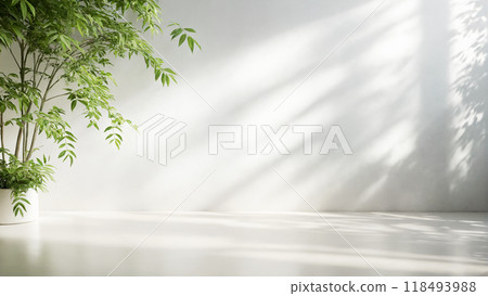 Minimalistic light background with blurred foliage shadow on white wall Minimalistic light background with blurred foliage shadow on white wall 118493988