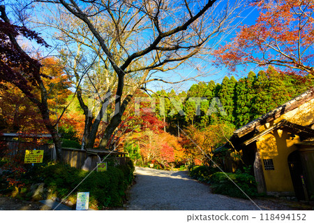 欣賞四季壯麗的大自然景色、清澈的秋葉、環境藝術森林(佐賀縣唐津市) 欣賞四季壯麗的大自然景色、清澈的秋葉、環境藝術森林(佐賀縣唐津市) 118494152