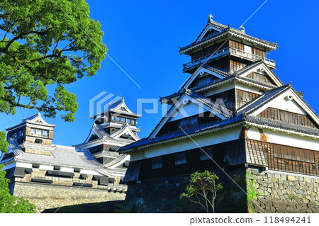 [Kumamoto Prefecture] The main and small castle towers and Uto yagura turrets of Kumamoto Castle on a clear day 118494241