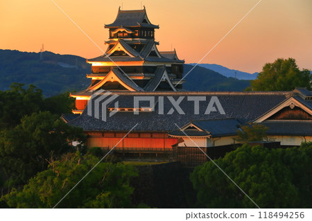 [熊本縣]熊本城的夜景 118494256