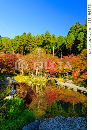 Enjoy the spectacular scenery of nature throughout the four seasons: Autumn sunshine and shadows, autumn leaves reflected in the forest of environmental art (Karatsu City, Saga Prefecture) Enjoy the spectacular scenery of nature throughout the four seasons: Autumn sunshine and shadows, autumn leaves reflected in the forest of environmental art (Karatsu City, Saga Prefecture) 118494276