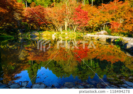 Enjoy the spectacular scenery of nature throughout the four seasons: Clear autumn sunlight and autumn leaves reflected in the forest of environmental art (Karatsu City, Saga Prefecture) Enjoy the spectacular scenery of nature throughout the four seasons: Clear autumn sunlight and autumn leaves reflected in the forest of environmental art (Karatsu City, Saga Prefecture) 118494278