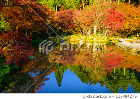 Enjoy the spectacular scenery of nature throughout the four seasons: Clear autumn sunlight and autumn leaves reflected in the forest of environmental art (Karatsu City, Saga Prefecture) Enjoy the spectacular scenery of nature throughout the four seasons: Clear autumn sunlight and autumn leaves reflected in the forest of environmental art (Karatsu City, Saga Prefecture) 118494279