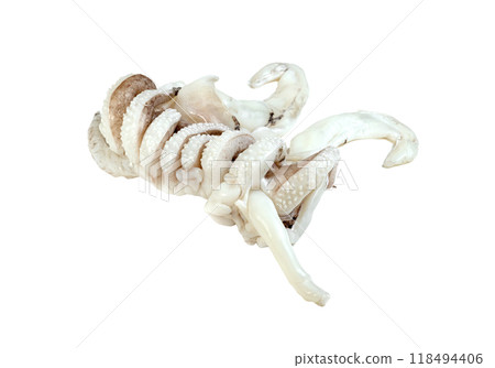 tentacles of squid isolated 118494406