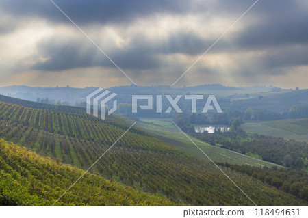 Typical vineyard near Cascina Montalbera and Montemagno Monferrato, Castagnole Monferrato, Piedmont, Italy Typical vineyard near Cascina Montalbera and Montemagno Monferrato, Castagnole Monferrato, Piedmont, Italy 118494651