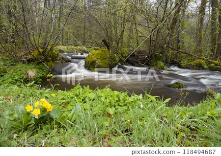 Plateau des Grilloux, Thousand Ponds Plateau (Plateau des Mille etangs), Haute Saone, Bourgogne-Franche-Comte, France 118494687