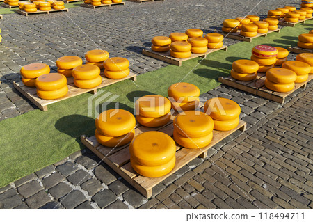 series of cheeses in a row in the Netherlands 118494711