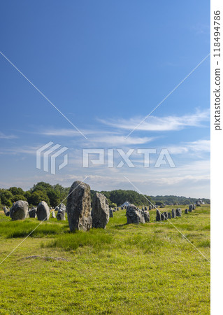 Standing stones (or menhirs) in Carnac, Morbihan, Brittany, France 118494786