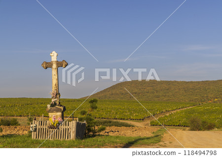 Autumn vineyard, Tokaj region, Great Plain and North, Hungary Autumn vineyard, Tokaj region, Great Plain and North, Hungary 118494798