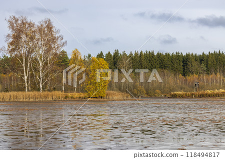 Typical autumn landscape in Trebonsko region, Velky Sustov pond near Suchdol nad Luznici, Southern Bohemia, Czech Republic 118494817