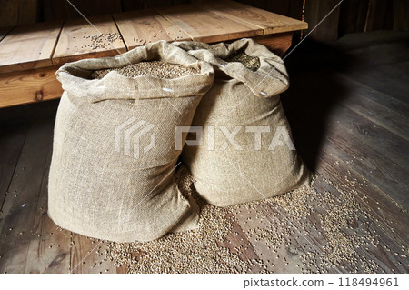 Two burlap sacks brimming with harvested grain resting on a wooden barn floor 118494961