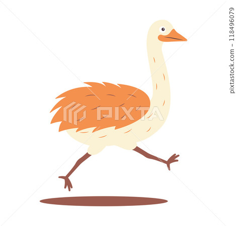 Cute Ostrich Big Bird Wildlife Animal Character is Running Fast Cute Ostrich Big Bird Wildlife Animal Character is Running Fast 118496079