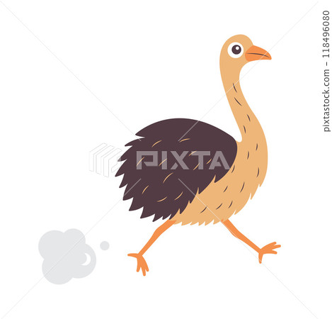 Cute Ostrich Big Bird Wildlife Animal Character is Running Fast Cute Ostrich Big Bird Wildlife Animal Character is Running Fast 118496080