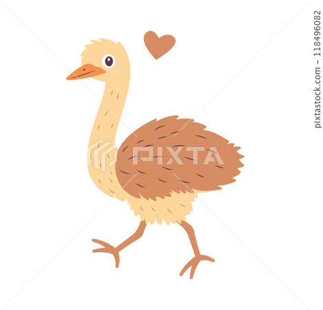 Cute Ostrich Big Bird Wildlife Animal Character is Walking 118496082