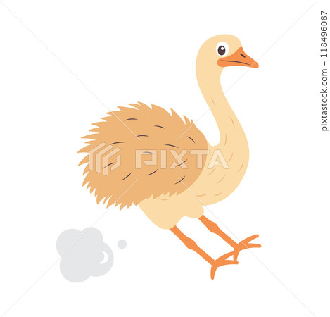 Cute Ostrich Big Bird Wildlife Animal Character is Braking to Stop Cute Ostrich Big Bird Wildlife Animal Character is Braking to Stop 118496087