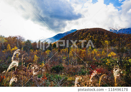 Norikura Highlands in late autumn with the setting sun Norikura Highlands in late autumn with the setting sun 118496178