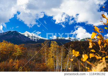 Autumn in the Norikura Plateau and snow-capped Mount Norikura Autumn in the Norikura Plateau and snow-capped Mount Norikura 118496192