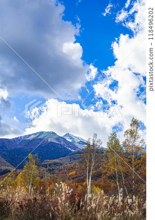 紅葉的乘鞍高原和白雪覆蓋的乘鞍山 118496202