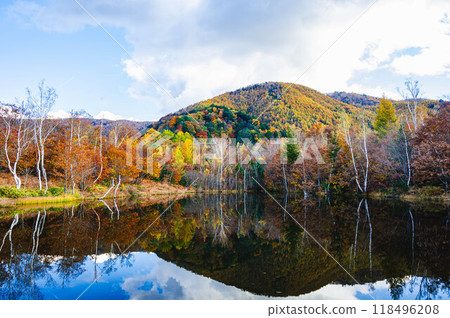 秋天的乘鞍高原梅梅池 118496208