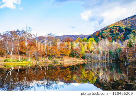 Autumn at Norikura Highlands: Maime Pond 118496209