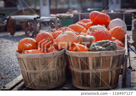 籃子裡的萬聖節南瓜 118497127