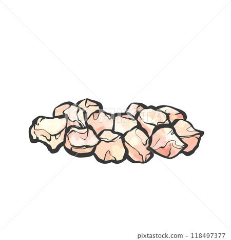 Hand-drawn brush-style illustration of chicken knee cartilage 118497377