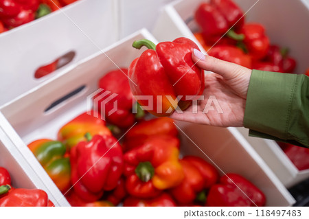Selecting fresh red bell peppers from box in market Selecting fresh red bell peppers from box in market 118497483