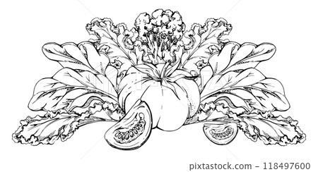 Tomato vegetable, green salad mix for diet and healthy lifestyle, vegan cooking. Hand drawn vector ink. Illustration composition isolated on white background. Design recipe book, website, card, menu Tomato vegetable, green salad mix for diet and healthy lifestyle, vegan cooking. Hand drawn vector ink. Illustration composition isolated on white background. Design recipe book, website, card, menu 118497600