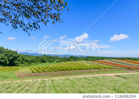 Miyagi Early Autumn Yakurai Garden 118498204