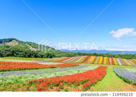 Miyagi Early Autumn Yakurai Garden 118498210