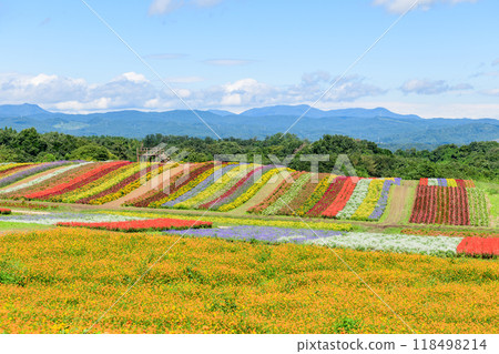 Miyagi Early Autumn Yakurai Garden 118498214