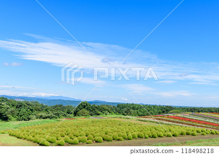 Miyagi Early Autumn Yakurai Garden 118498218
