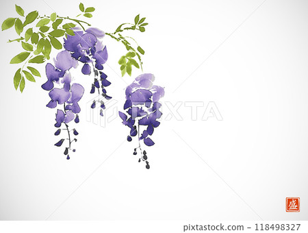 Ink painting of blooming wisteria. Traditional oriental ink painting sumi-e, u-sin, go-hua. Translation of hieroglyph - bloom Ink painting of blooming wisteria. Traditional oriental ink painting sumi-e, u-sin, go-hua. Translation of hieroglyph - bloom 118498327