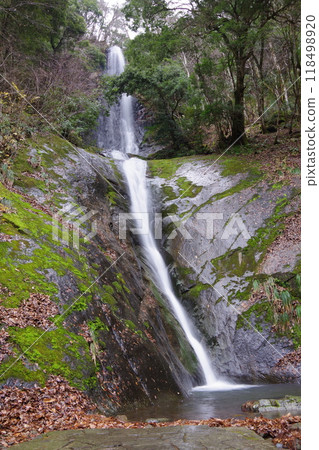 兵庫縣香美町猿尾瀑布 兵庫縣香美町猿尾瀑布 118498920