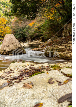 Okutsukei: Beautiful autumn valley, Kagamino-cho, Tomata-gun, Okayama Prefecture Okutsukei: Beautiful autumn valley, Kagamino-cho, Tomata-gun, Okayama Prefecture 118499671
