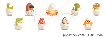 Chicks and Reptiles Hatch from Cracked Egg Shell Vector Set Chicks and Reptiles Hatch from Cracked Egg Shell Vector Set 118500502
