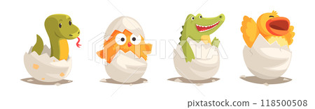 Chicks and Reptiles Hatch from Cracked Egg Shell Vector Set Chicks and Reptiles Hatch from Cracked Egg Shell Vector Set 118500508